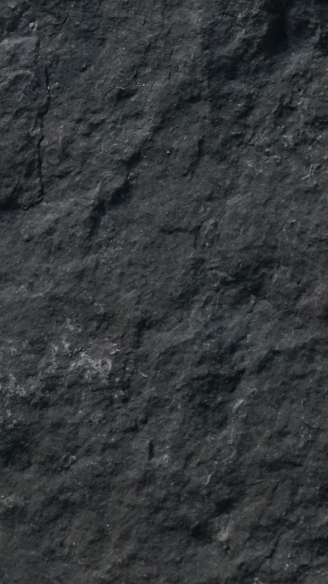 vue 1