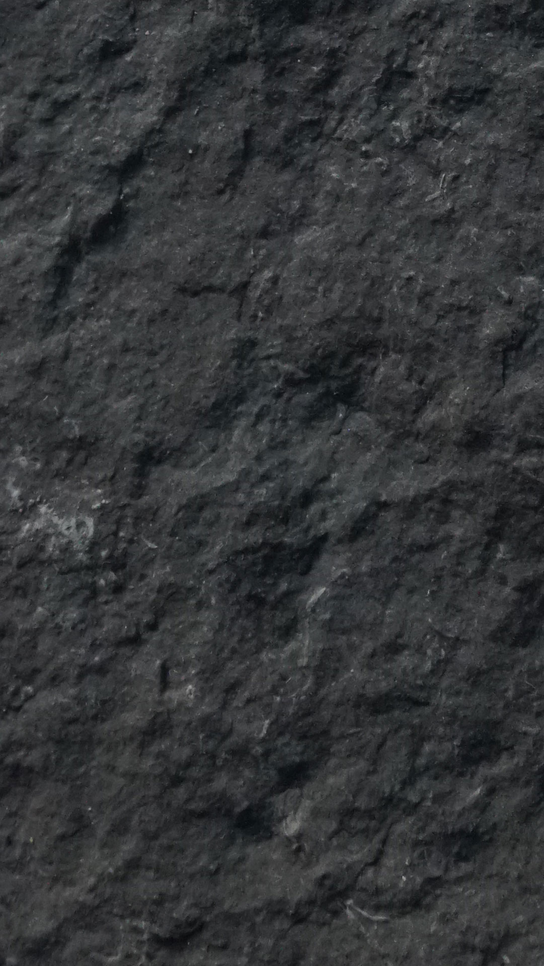 vue 1