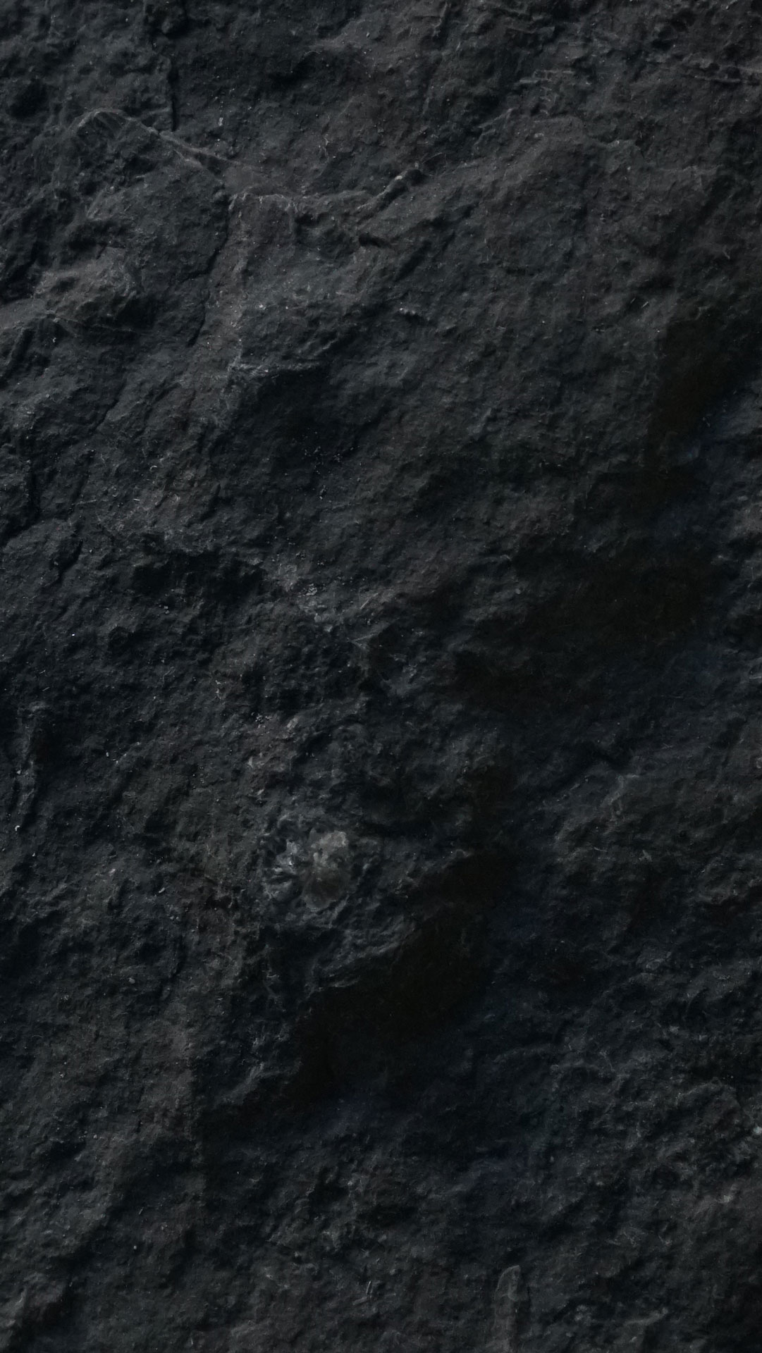 vue 1