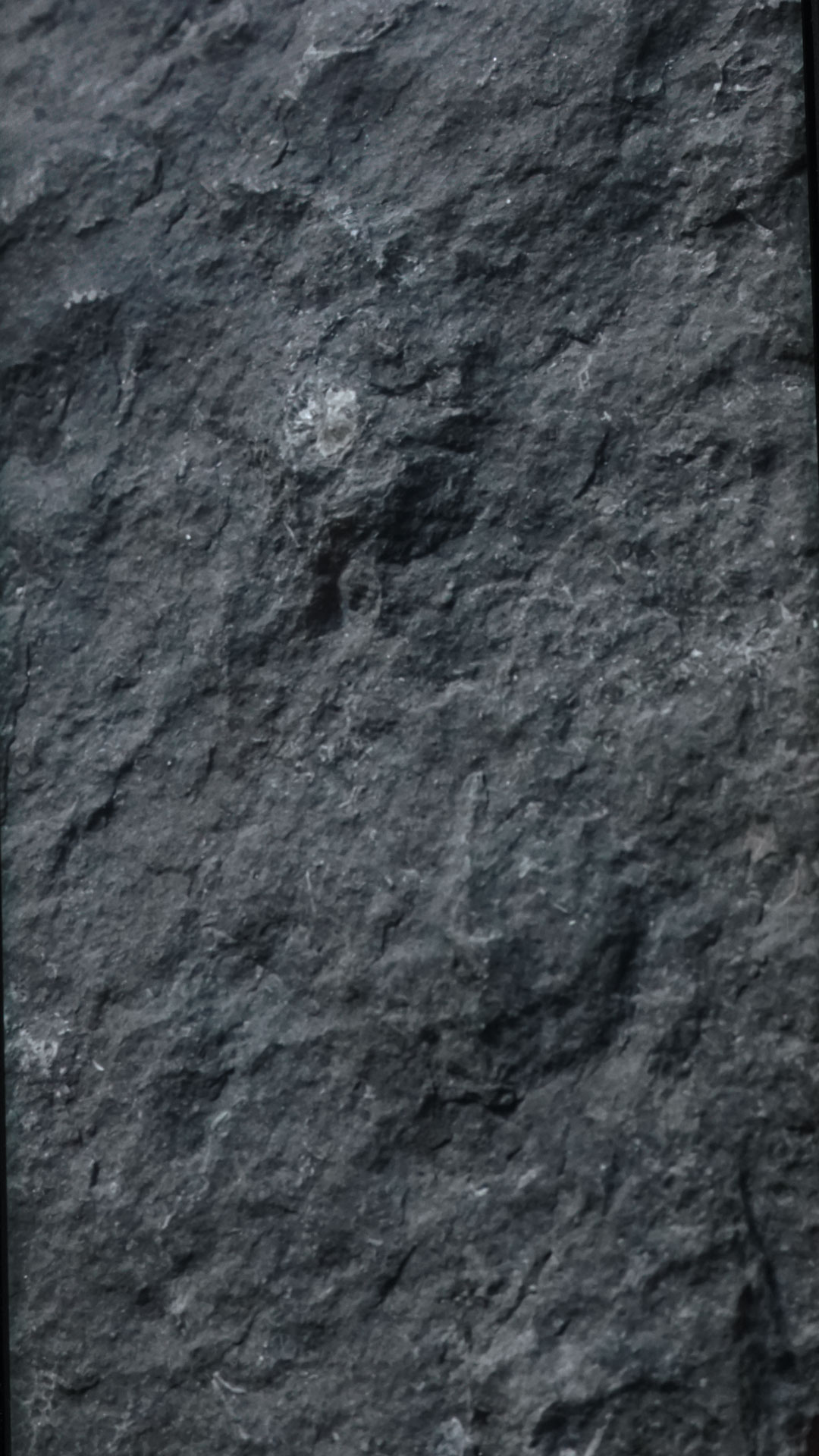vue 1