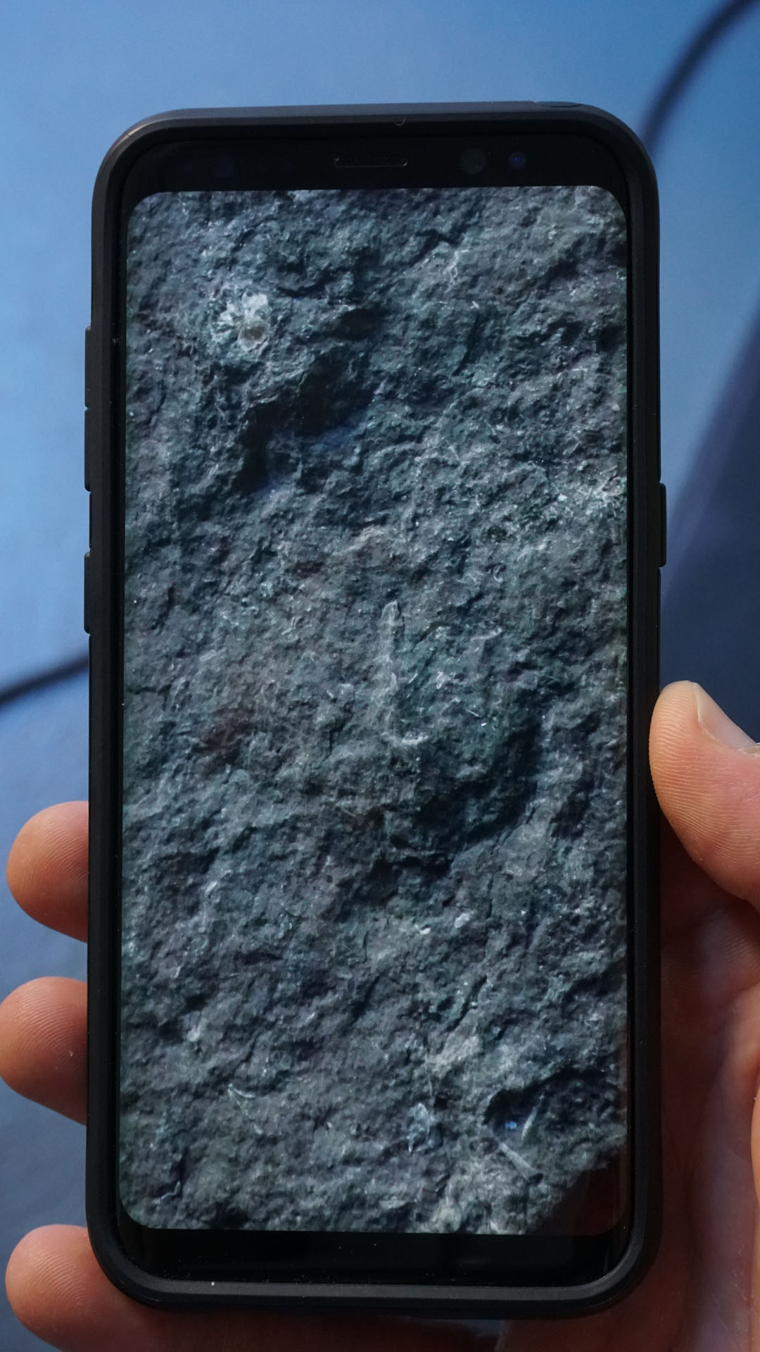 vue 1