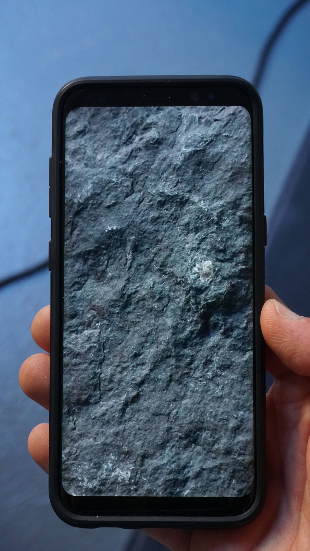 vue 1