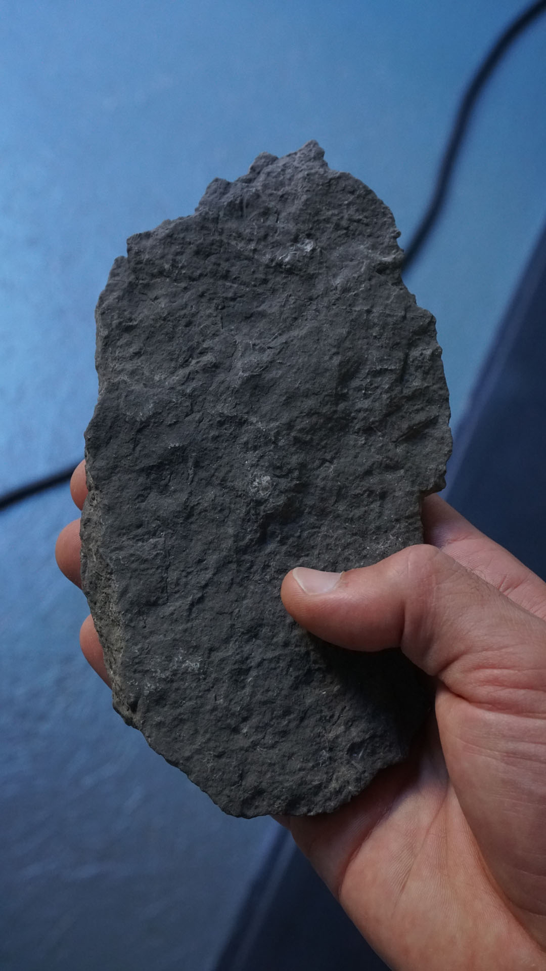 vue 1